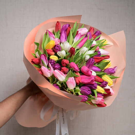 51 mixed colour Tulip   6138