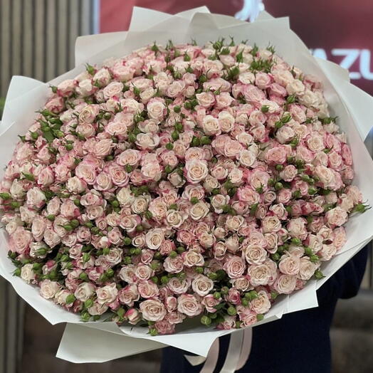 Большой Рефлекс