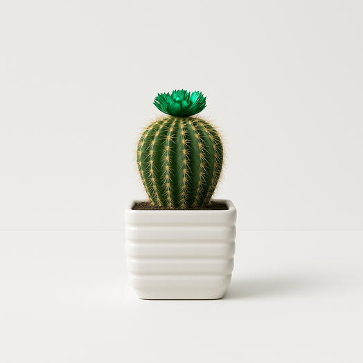 Зелёный кактус