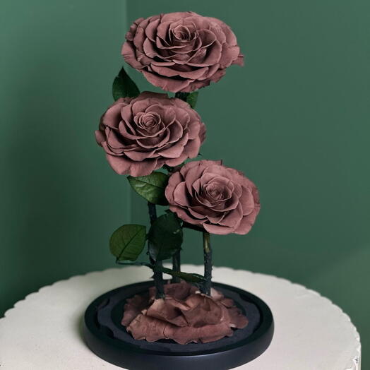 Трио стабилизированных роз коричневое