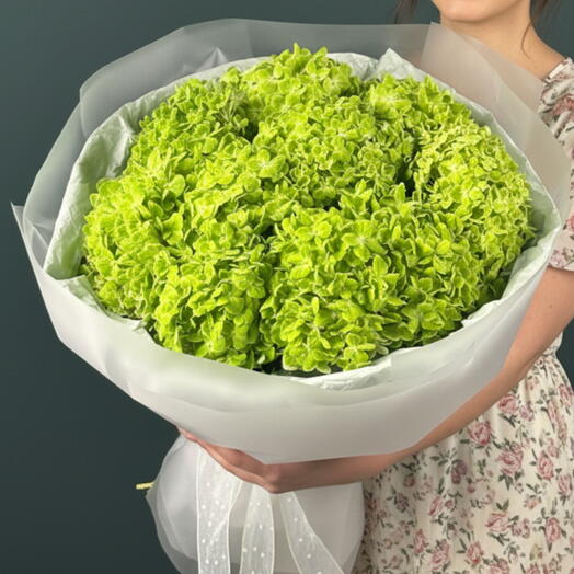 9 Green Premium Hydrangea Bouquet