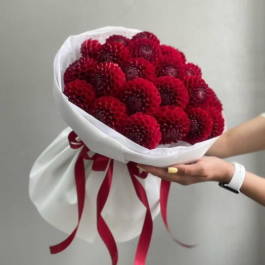 Букет красных георгинов «Вампир» – подарок на годовщину рождения для неё