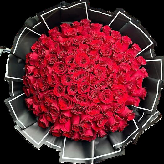 Red roses black queen