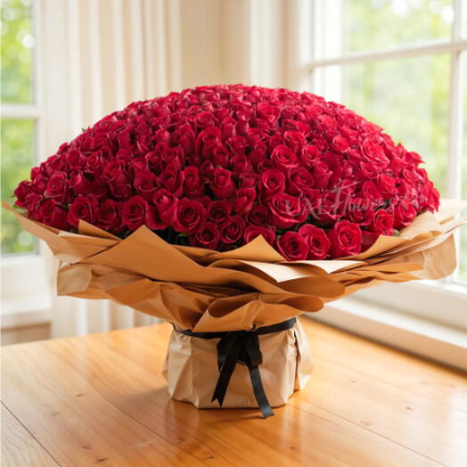 Bouquet de 600 roses rouges