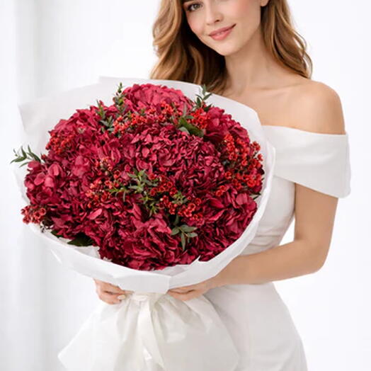 Гортензии Полуночная Любовь