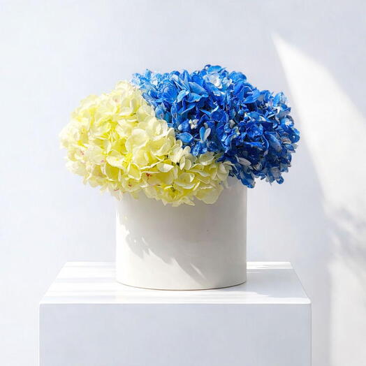 Botanica Hortensia BW