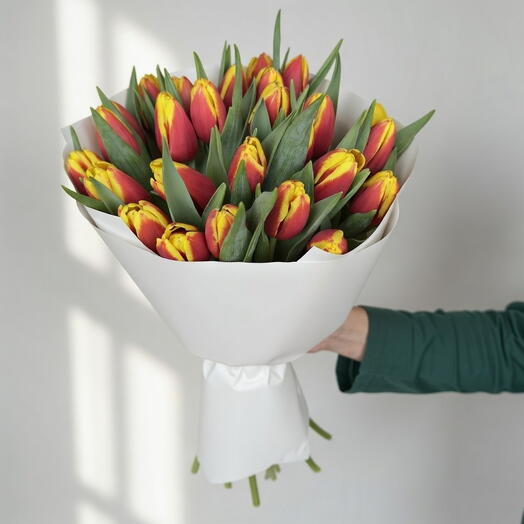 Сияние заката - 25 красно-жёлтых тюльпанов