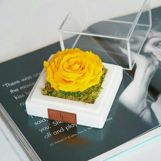 Marble Yellow Infinity Single