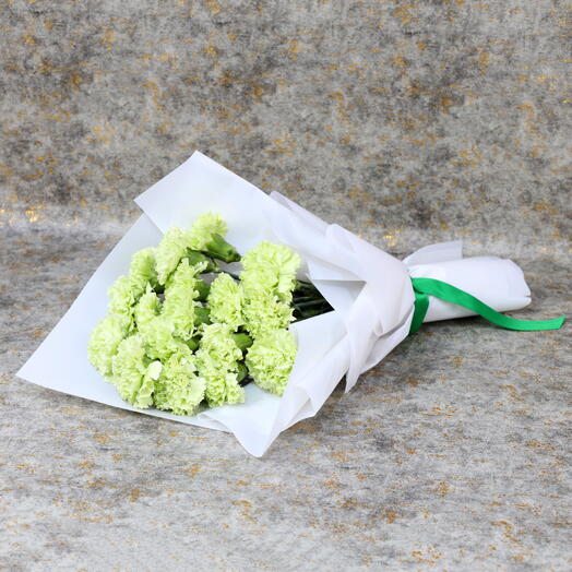 Букет из гвоздик Изумрудный сад