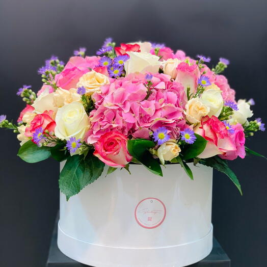 ГОРТЕНЗИЯ  АСТРА   МИКС РОЗ В СРЕДНЕЙ КОРОБКЕ