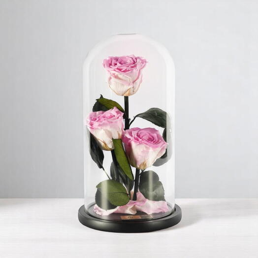 Стабилизированные розы Cherry Bloosoms в стеклянном куполе Trio