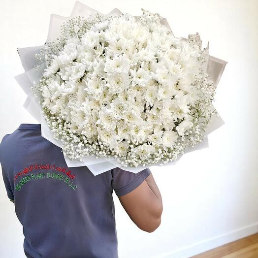 Elegant White Chrysanthemum Bouquet – 30 Stems