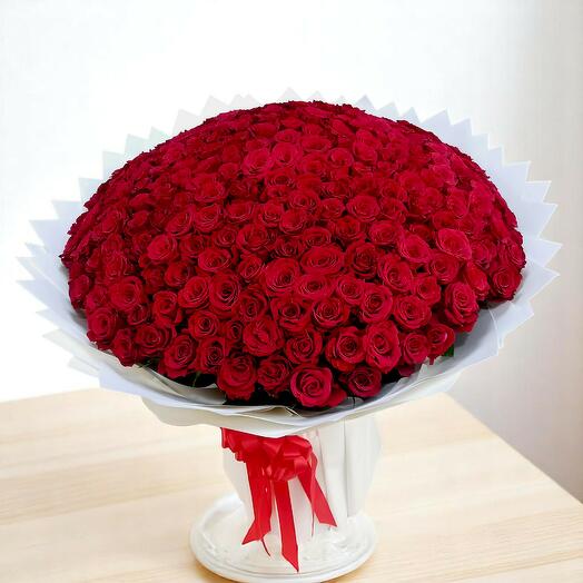 Enchanted Elegance: 300 red flowers bouquet Extravaganza