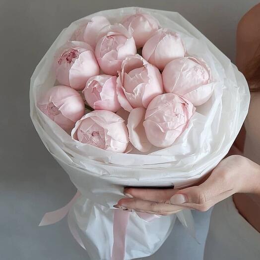 Little Miss Peony
