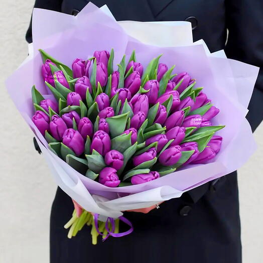 Purple Tulips