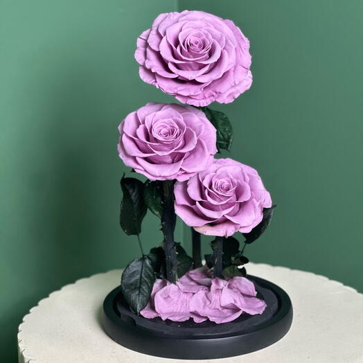 Вечное трио в стеклянном куполе лаванда