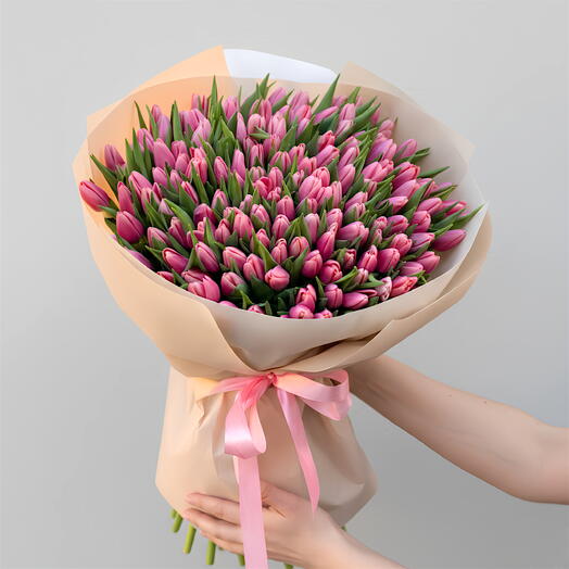 Pink Empire – 151 Tulips