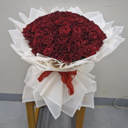Red roses white elegance