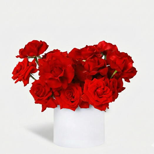 RRed Rose Box – 25 свежих красных роз
