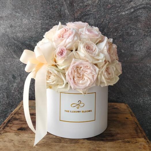 White roses dome in white box
