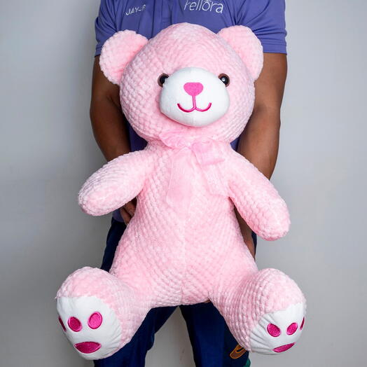Pink Teddy Bear -2821