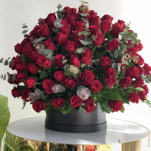 Élégance cramoisie de minuit