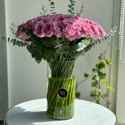 101 Deep Purple Majesty