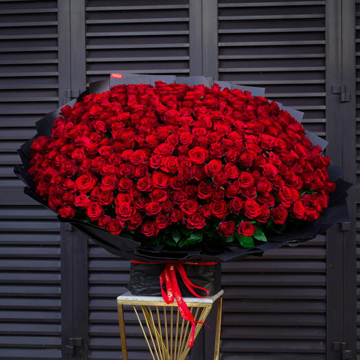 301 Roses Rouges Premium-5597