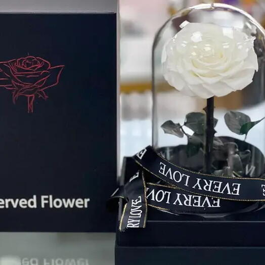 Вечная белая роза