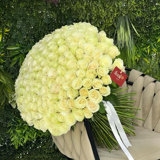 Большой букет из 101 свежей белой розы