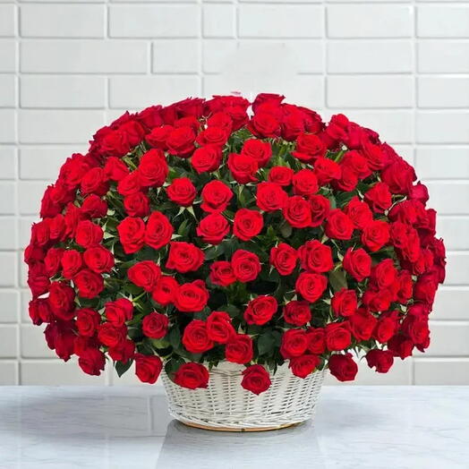 Panier de 500 roses rouges
