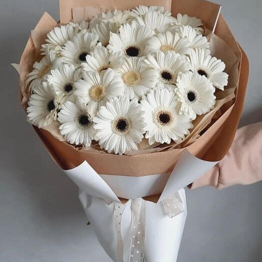 Gerbera pure elegance