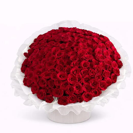 Букет из 101 красной розы