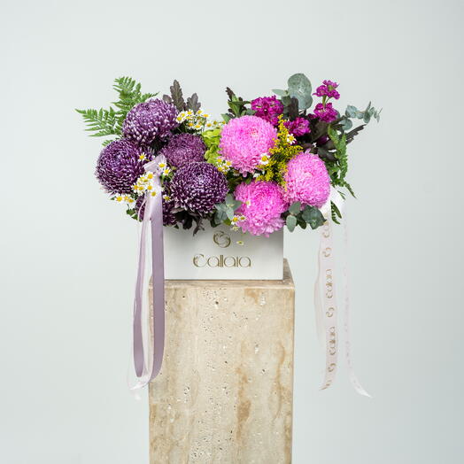 Royal Velvet Blossom