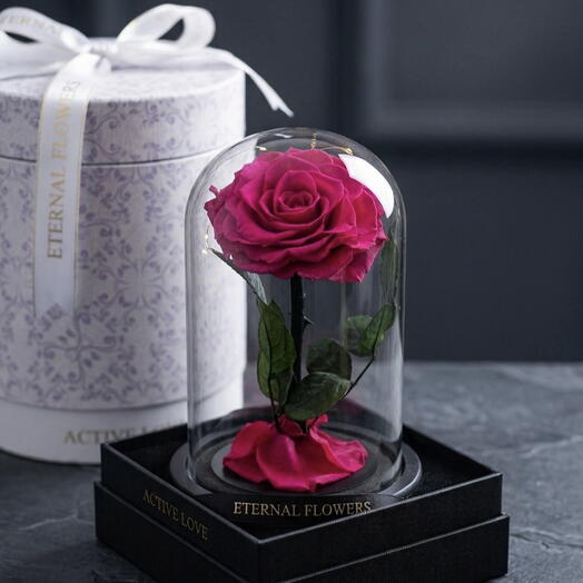 وردة فوريفر وردية داكنة