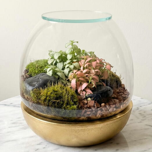 Terrarium de prairie luxuriante