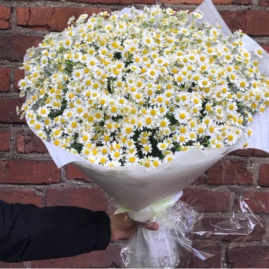 25 Stems daisy bouquet -707