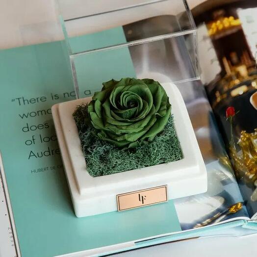 Marble Green Infinity Single