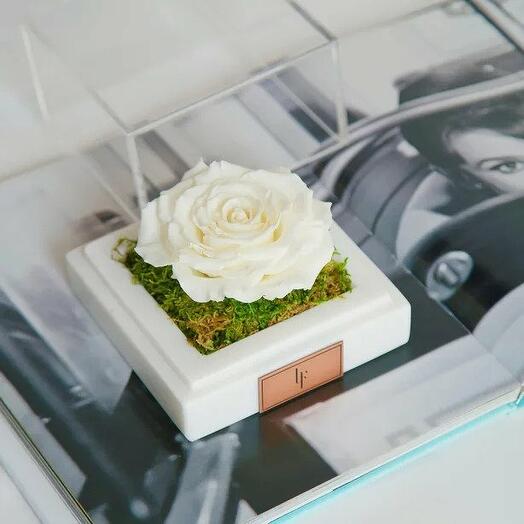 Marble White Infinity Single