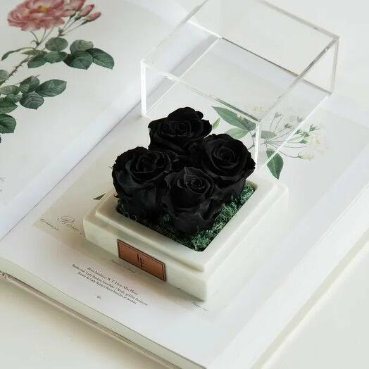 Marble Black Infinity Quatro