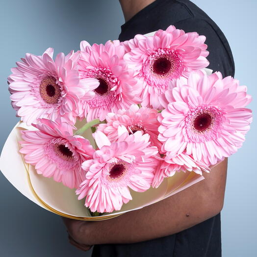 9 розовых гербер 2-5932