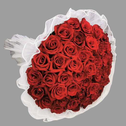 Специальный 050