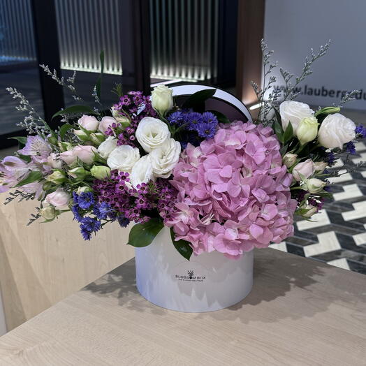 Magical Kiss Box Color
May Vary