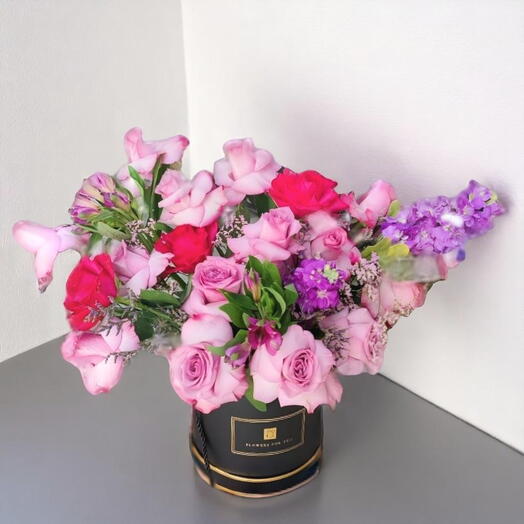 Lueza box arrangement