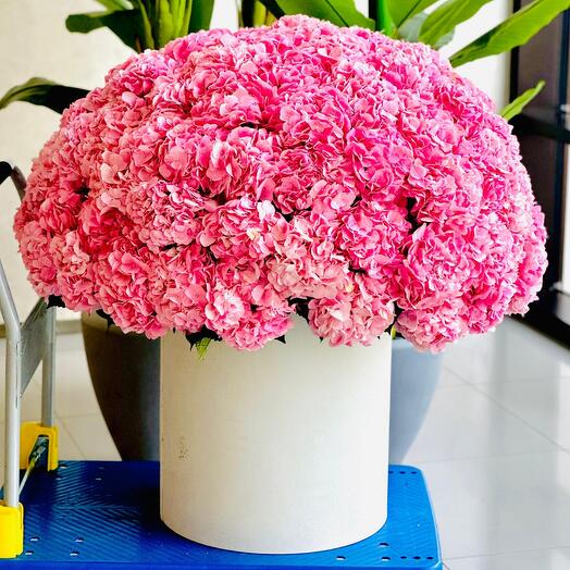 Pink hydrangea luxury box