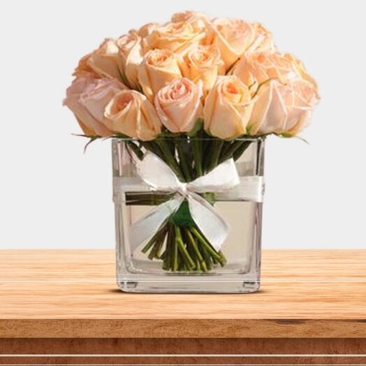 Blooming Peach Rose Statement