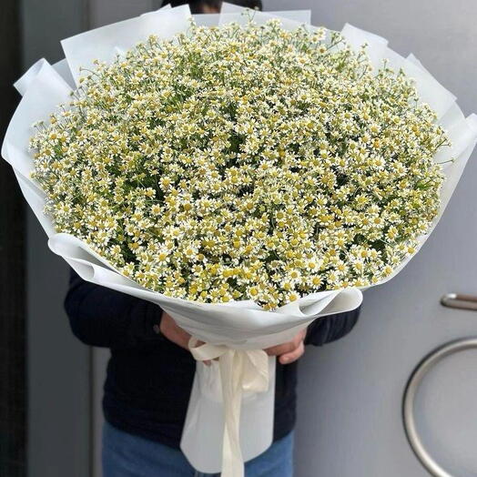 Нежный горизонт