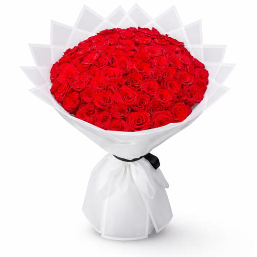 Elegant 80 Red Roses Bouquet – Luxury White Wrapping