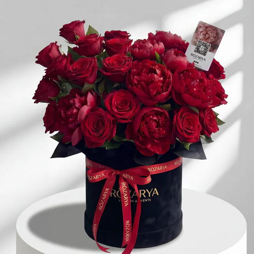 Багряное бархатное великолепие: фирменная красная пионовидная роза — классическая шляпная коробка