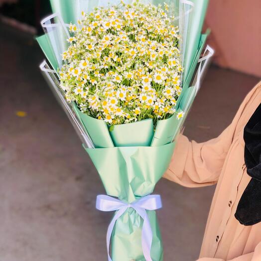 Bouquet de Matricaria